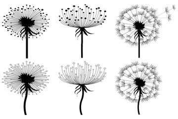 Dandelion in vector illustration