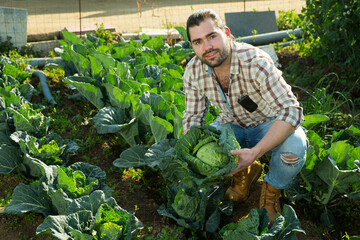 Portrait of positive male farmer checking cabbage plants in vegetable garden