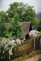 Alpen