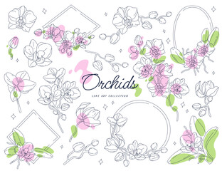 Orchid flowers and leaves in line art style icons set. Contemporary floral design. Spring flowers blossom
