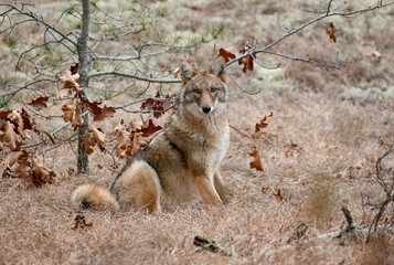 Moments of Understanding