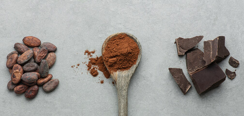 Cocoa spoon, dark chocolate and cocoa beans on a gray concrete background
