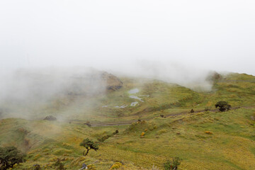 Beautiful colombian paramo ecosystem landscape with fog and swamp 