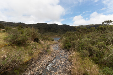 Fototapeta na wymiar A small creek into colombian chingaza national park in sunny day