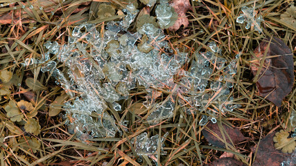 Noch haben strenger Frost mit Minusgraden, Eis und Schnee die Natur fest im Griff. Doch bald wird es einen Neuanfang geben: Der Frühling lässt frisches Grün sprießen und damit neues Leben wach küssen.