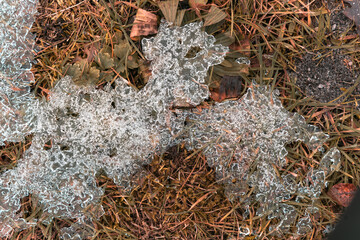 Noch haben strenger Frost mit Minusgraden, Eis und Schnee die Natur fest im Griff. Doch bald wird es einen Neuanfang geben: Der Frühling lässt frisches Grün sprießen und damit neues Leben wach küssen.