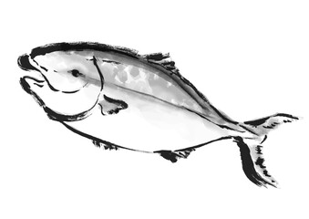 鰤の手描き和風イラスト