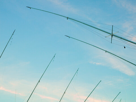 Outriggers on rows of sportfishing boats.