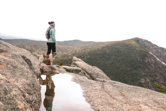 Woman hiking with dog, Mt Willard, New Hampshire, USA