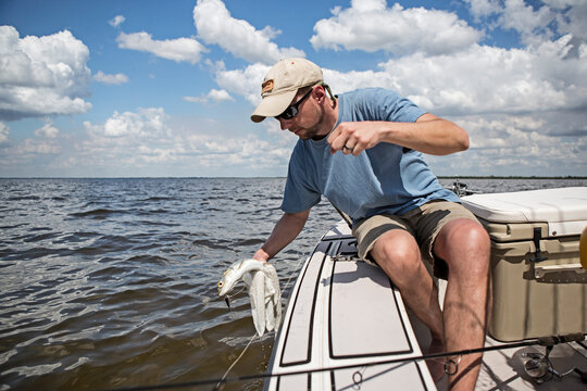 Releasing a fish.