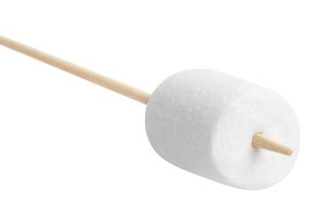 Delicious marshmallow on a stick cut out