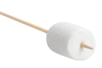 Delicious marshmallow on a stick cut out