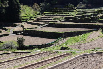 日本棚田百選　つづら棚田の風景