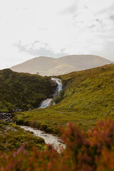 In the Highlands 