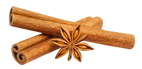 Cinnamon and star anise cut out