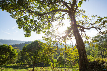 Sri Lanka landscapes
