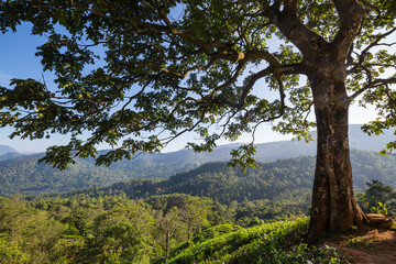 Sri Lanka landscapes