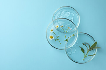 Flat lay composition with Petri dishes and plants on light blue background. Space for text