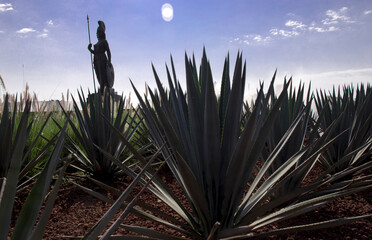 Guadalajara, Jalisco, con su monumento representativo de la minerva
