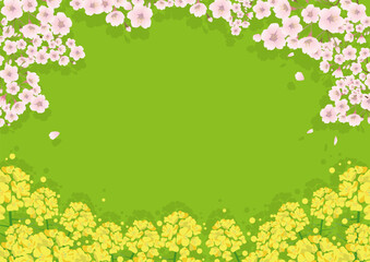 菜の花と桜の花がかわいい春のフレーム - 566090363