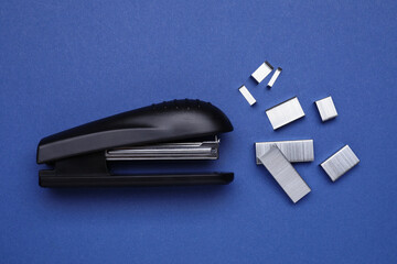 New bright stapler with staples on blue background, fat lay. School stationery