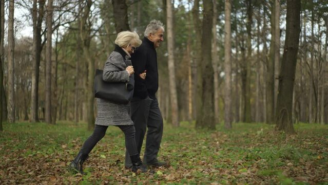 Slow-motion Side View Of Elderly Couple Holding Hands While Walking Together In The Forest Park