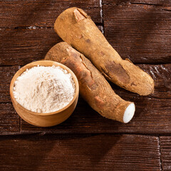 Bowl with cassava starch - Manihot esculenta
