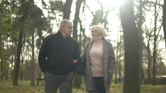 Romantic senior couple holding hands, walking and talking together in the autumn forest, slow motion