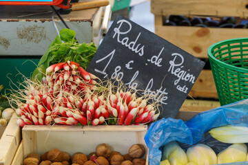 Radishes walnuts and endive at an outdoor French market
