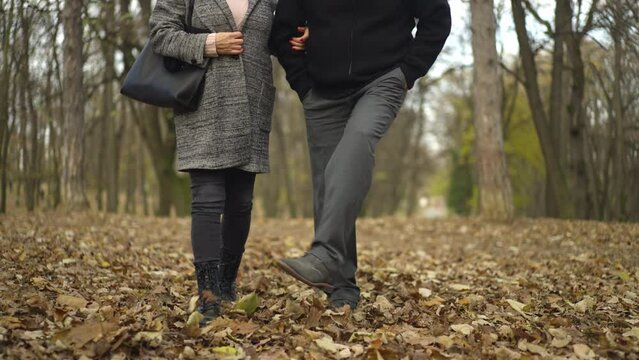 Slow-motion low view shot of a romantic senior couple having fun, kicking golden leaves while walking in the forest
