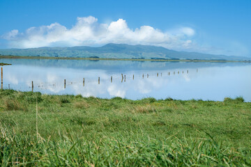 Fence leading from green field into calm blue water of Lake Wairarapa with distant hills across other side.