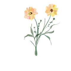 Spring flower watercolor