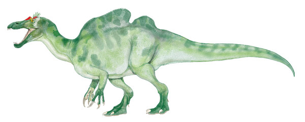 アジア大陸から発見された風変わりな帆を持つスピノサウルス科の恐竜