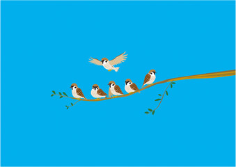 スズメ01青空