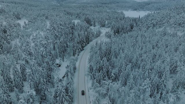 Snowy landscape in Norway with snow covered tree tops. Electric car driving into the scene