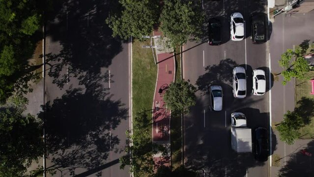 Drone top view of a bike in a beatifull bikelane surrounded by flowers in S&atilde;oPaulo Brazil