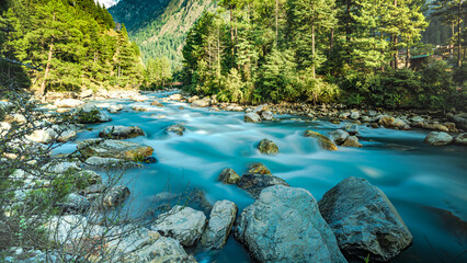 parvati river in the forest of parvati valley