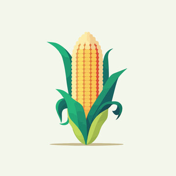 Sweet organic corn cob in vector illustration on white background