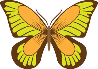 butterfly png graphic clipart design
