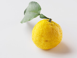 黄色い柚子の実