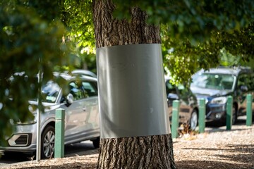 Tree guard on a mature tree in a park protecting it from possums