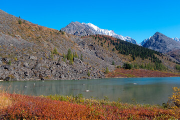 Shore with autumn grass and rocky shores of high mountain lake Shavlinskoye in Altai mountains with snow and glaciers.