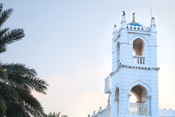 Obraz premium White brick tower of historical building, church against the sky, palm tree in the foreground