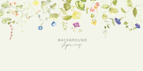 watercolor arrangements with small flower. Botanical illustration minimal style. - 566121104