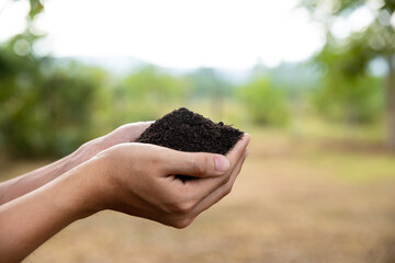 Hand of farmer inspecting soil health before planting in organic farm. Soil quality Agriculture,...