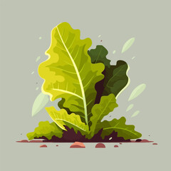 Green lettuce flat color illustration Fresh Organic vegetable for salad