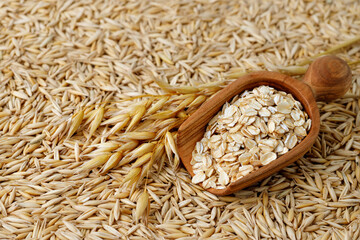 oatmeal in scoop with oat ears and grains as background