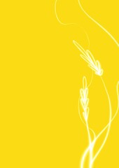 Abstract background  design  with color