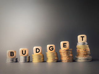Finance and Economy Concept. Budget text on wooden cubes background