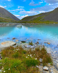 Mountain river turquoise Karakabak with flowers on the shore against the background of the tops of stone rocks with a day in Altai in the summer among the green grass. Vertical frame.